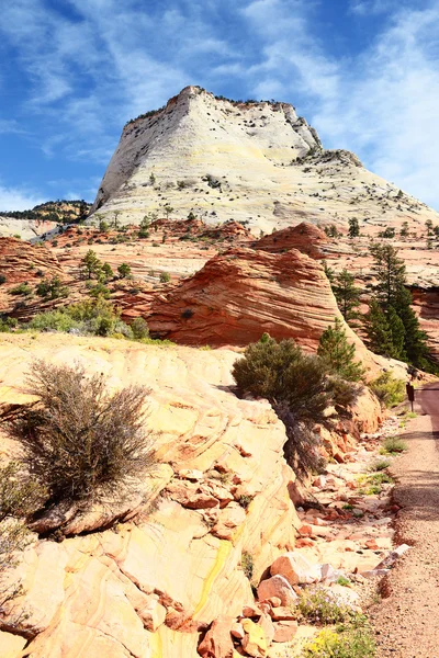 Parque Nacional de Zion, EE.UU. . — Foto de Stock