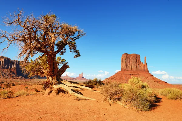 Monument Valley — Stockfoto