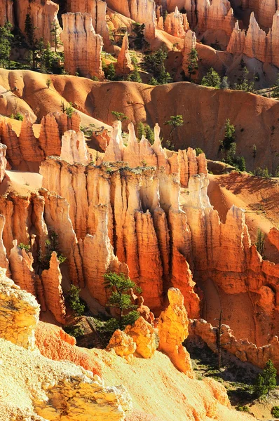 Bryce Canyon Ordförande — Stockfoto