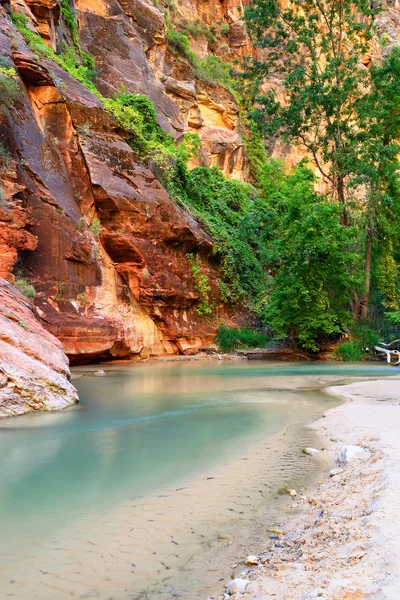 Famous Virgin River — Stock Photo, Image