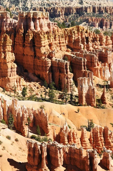 Bryce Canyon Ordförande — Stockfoto