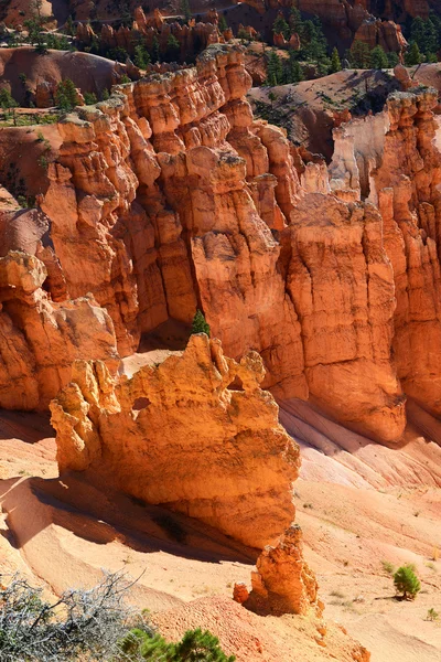 Bryce Canyon Ordförande — Stockfoto