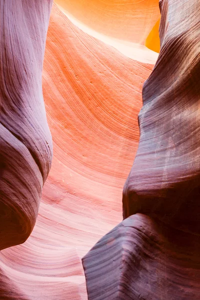 El cañón del antílope, página, — Stok fotoğraf