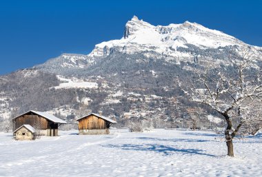 arazi mont-blanc