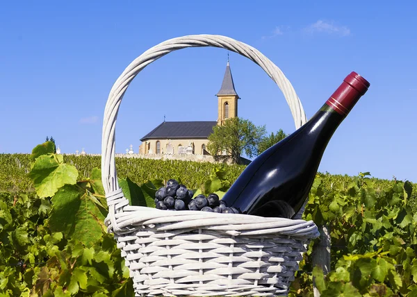 Paese francese e vigneti — Foto Stock