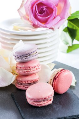 güzel macarons