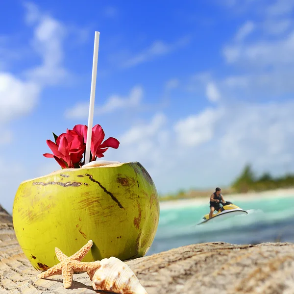 Kokosnötter på stranden — Stockfoto