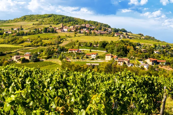 Французская деревня и виноградник — стоковое фото