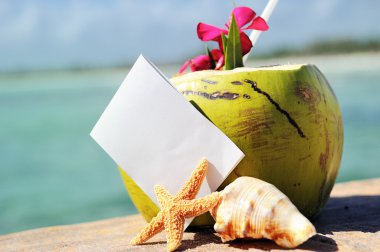 Karayip paradise beach hindistancevizi kokteyl