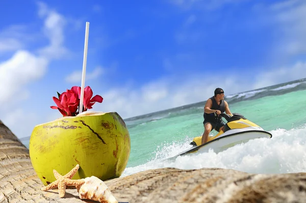 Kokosnoten op het strand — Stockfoto