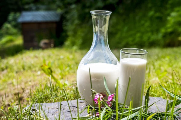 Leche en una jarra y un vaso —  Fotos de Stock