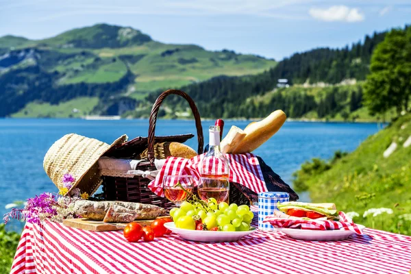 Picknick i gräset — Stockfoto