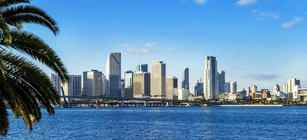 Horizonte da baixa de Miami — Fotografia de Stock