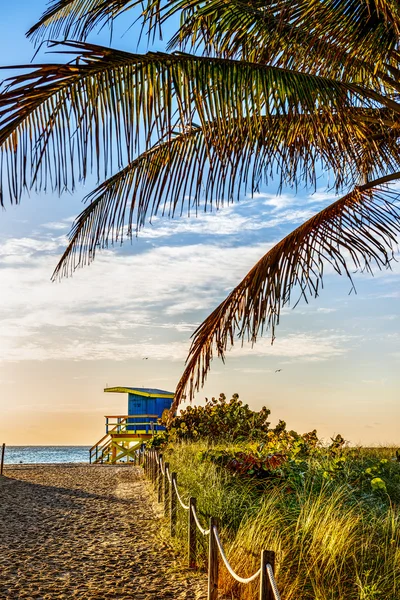 Torre de salva-vidas, Miami Beach, Flórida — Fotografia de Stock