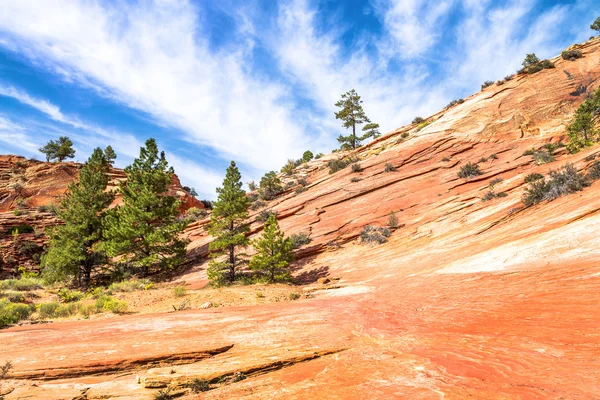 Parque Nacional de Zion, EE.UU. . — Foto de Stock