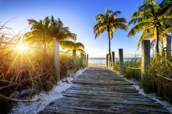 Op weg naar het strand — Stockfoto