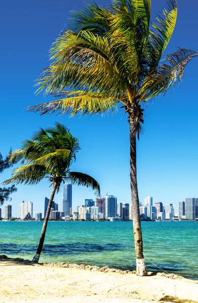 Skyline van Downtown Miami — Stockfoto