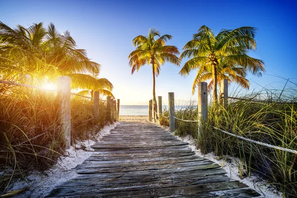 Camino a la playa — Foto de Stock