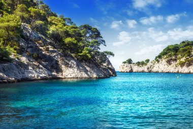 cassis calanque