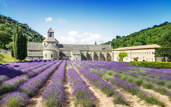 Abbazia di Senanque — Foto Stock