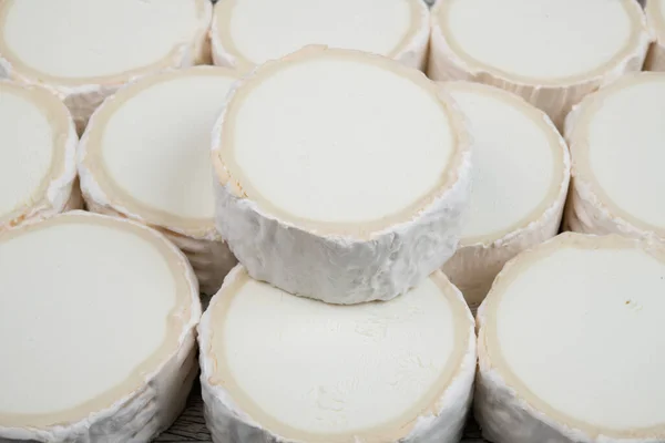 Traditional Little French Cheese — Stock Photo, Image