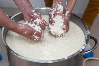 Bir atölyede peynir pişirme işlemi. Peynir yapan eller, kapatın.