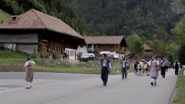 Charmey Fribourg Schweiz September 2019 Bauern Mit Einer Rinderherde Auf — Stockvideo