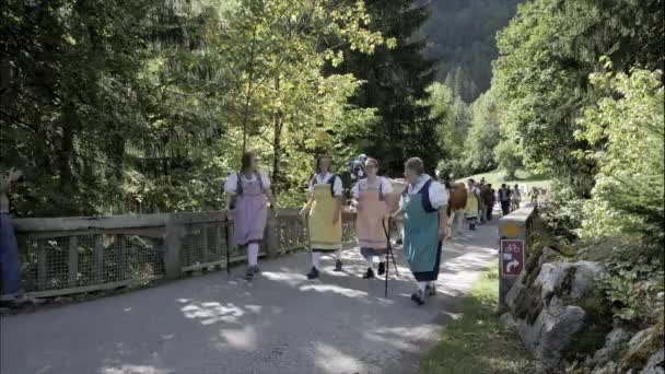 Charmey Fribourg Switzerland September 2019 Farmers Herd Cows Annual Transhumance — 图库视频影像