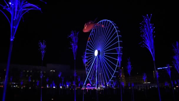 2019年12月4日フランス リヨン 1日前にリヨンで開催されたLightsイベント Place Bellecour 2019年12月5日 8日にフランス リヨンで開催される光の祭典のための断続的な準備 — ストック動画