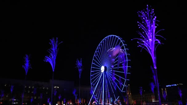 Decembrie 2019 Lyon Franța Înainte Evenimentul Lights Din Lyon Place — Videoclip de stoc