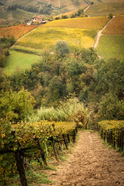 Vindistriktet Barolo Langhe Piemonte Italien — Stockfoto