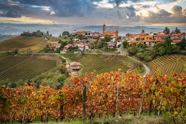 Paysage Automne Coloré Dans Les Vignobles Piémont Italie — Photo