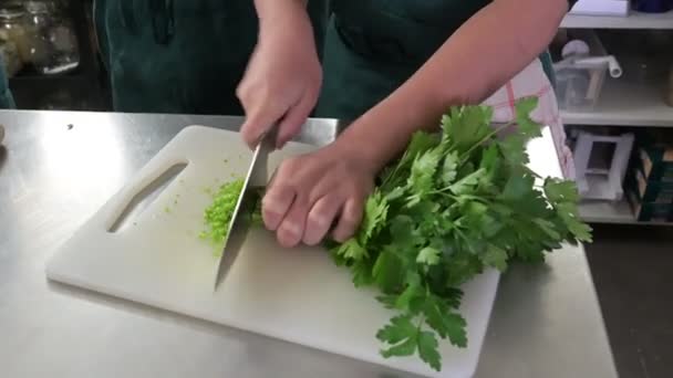 Corte Salsa Com Uma Faca Uma Cozinha — Vídeo de Stock