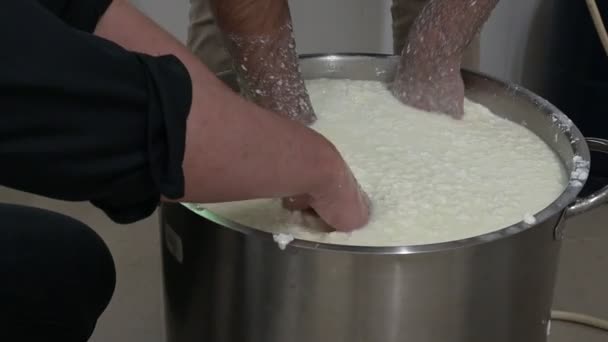 Μέθοδος Παρασκευής Τυριού Εργαστήριο Χέρια Που Φτιάχνουν Τυρί Κοντά — Αρχείο Βίντεο