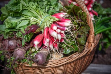 Markette taze havuç ve sebze tadı.