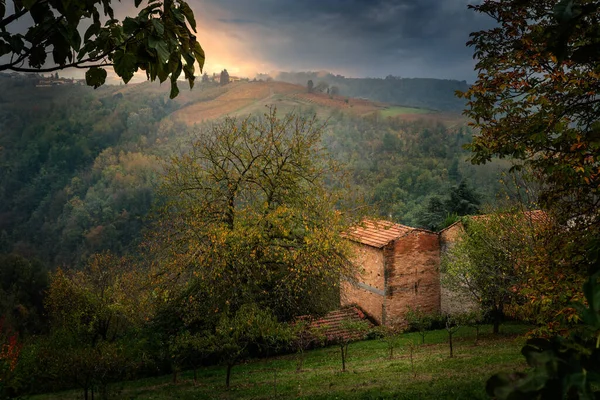 Winelands Landskapet Barolo Vin Regionen Langhe Piemont Italien — Stockfoto