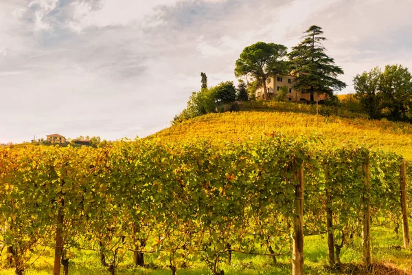 Vindistriktet Barolo Langhe Piemonte Italien — Stockfoto