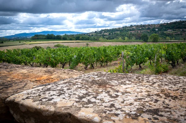 Beautiful Landscape Old Stone Wall Layers — Stock fotografie