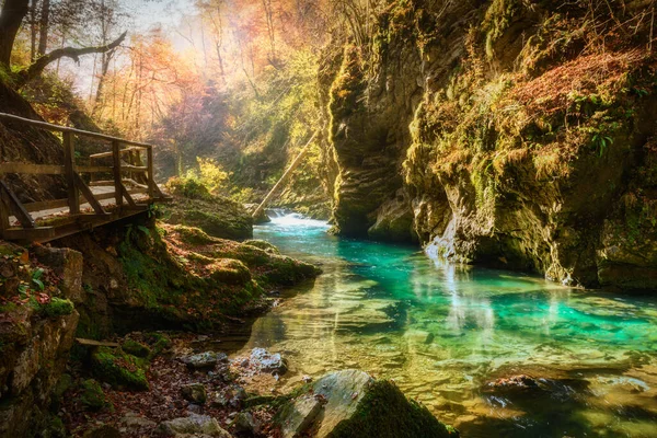 Famous Beloved Canyon Vintgar Gorge Wooden Path Beautiful Autumn Colors — Stock Photo, Image