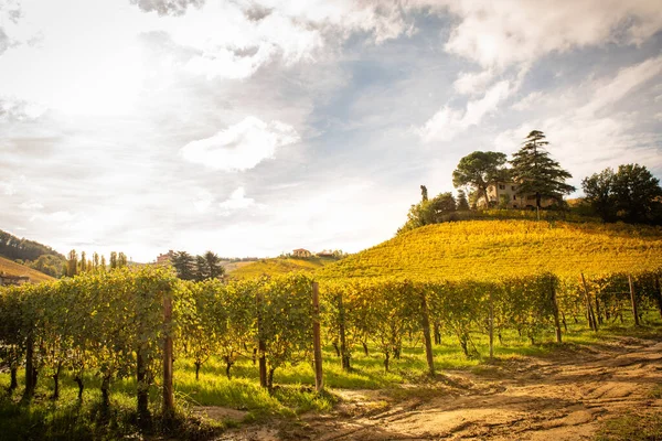 Vindistriktet Barolo Langhe Piemonte Italien — Stockfoto