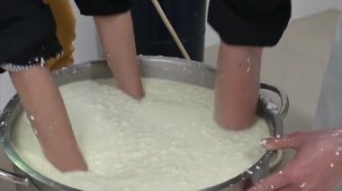 Bir atölyede peynir pişirme işlemi. Peynir yapan eller, kapatın.
