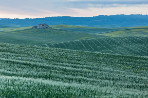 Casa rural en Toscana al amanecer — Foto de Stock