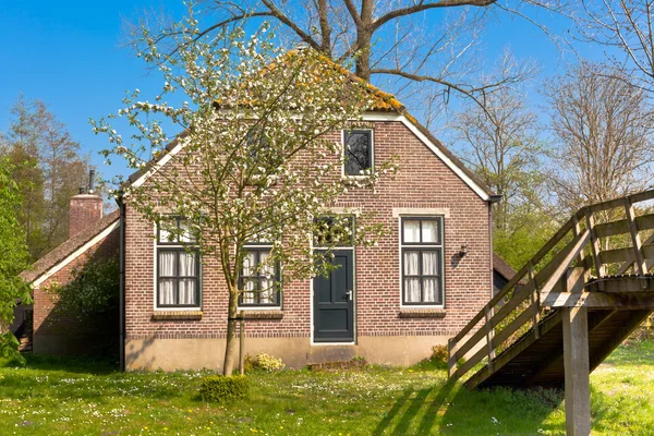 Traditionella holländska hus — Stockfoto