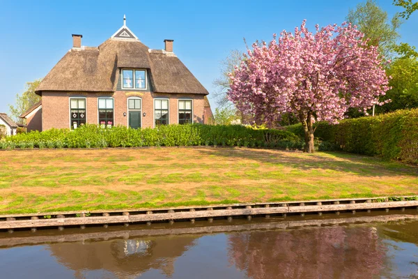Casa holandesa tradicional na primavera — Fotografia de Stock
