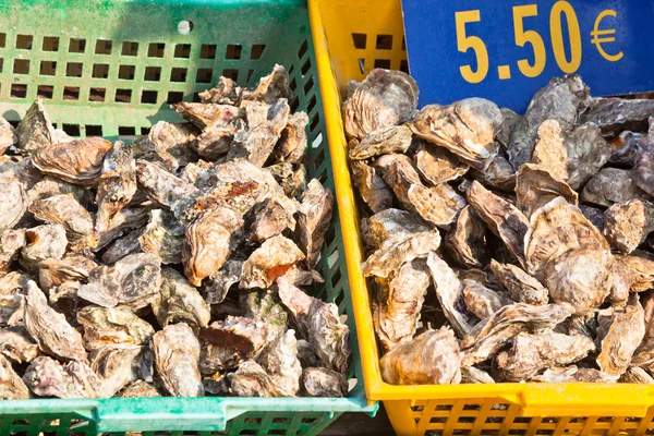 Marché des huîtres — Photo