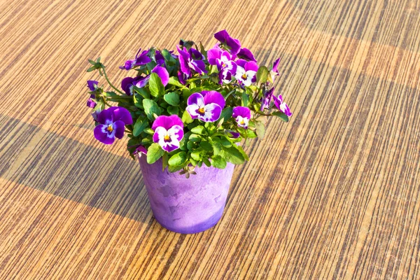 Flores de colores en una olla en la mesa — Foto de Stock