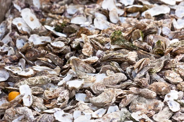 Lixo de mercado de ostras — Fotografia de Stock
