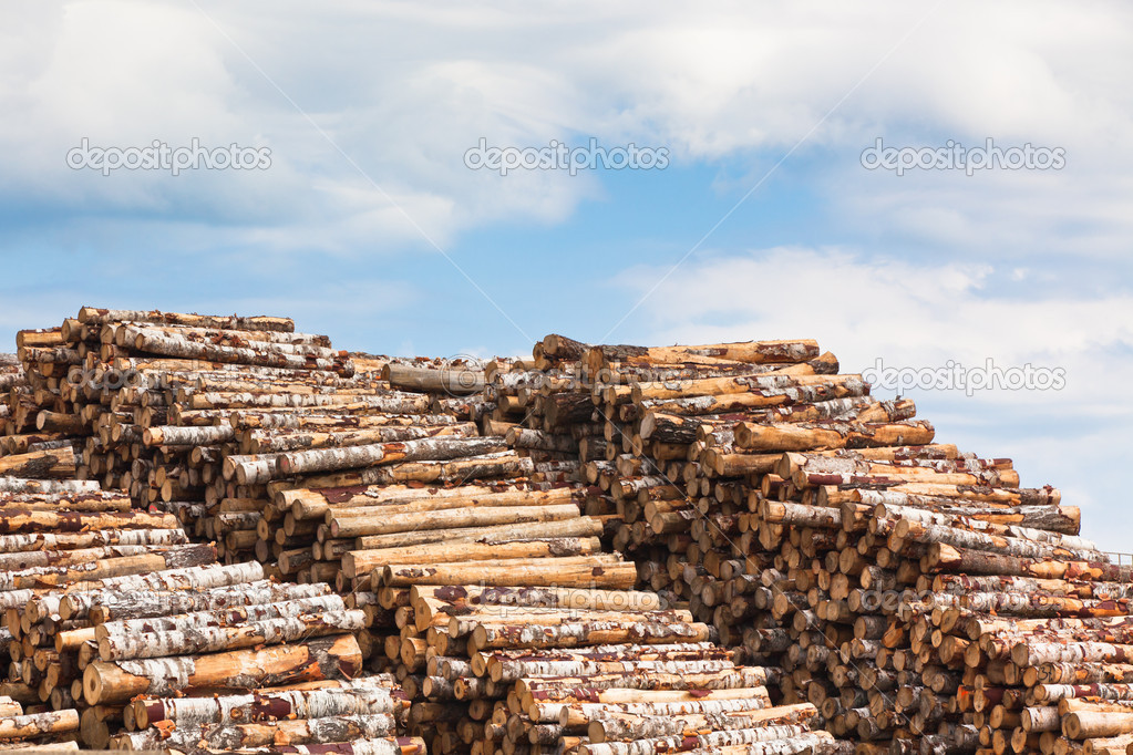 Pile of wood