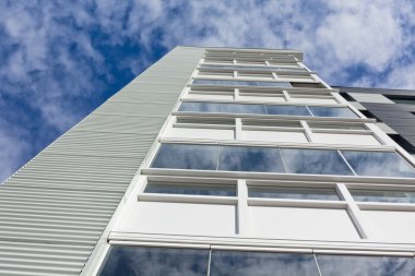 vinil siding ile modern ev