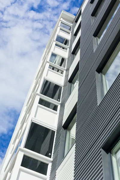 vinil siding ile modern ev